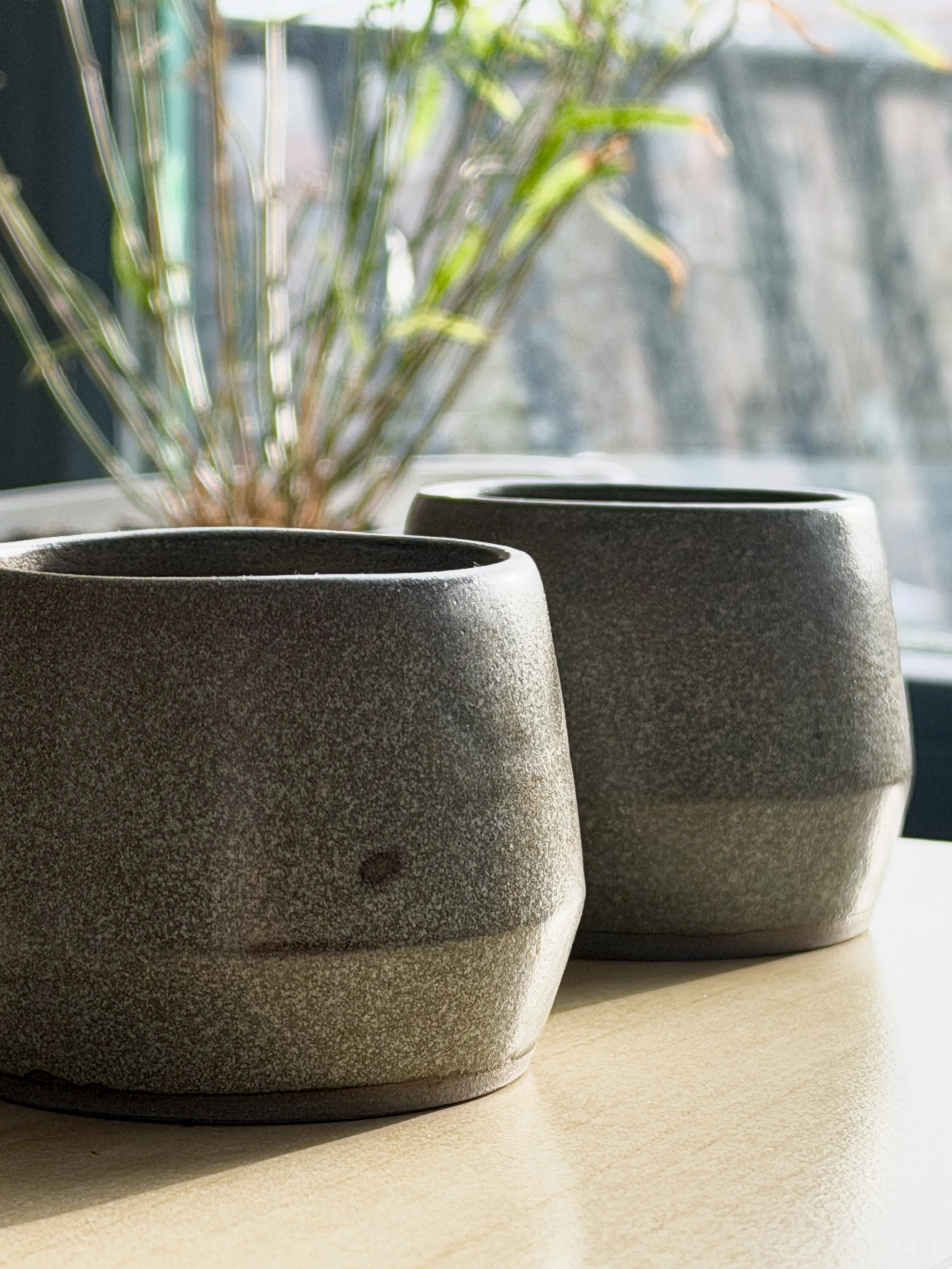 Cappuccino Cups